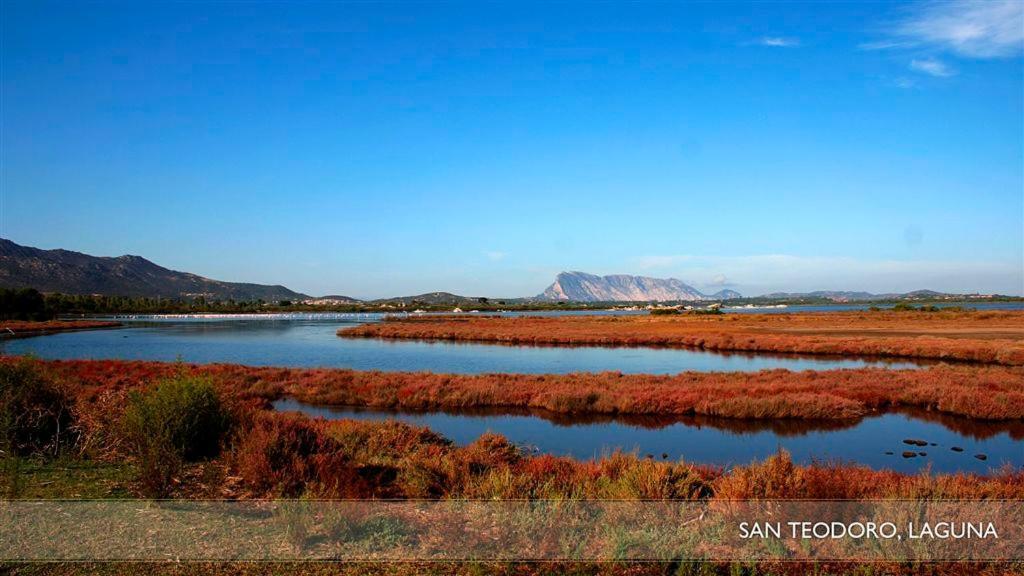 Li Teggi Turismo Rurale San Teodoro  Extérieur photo