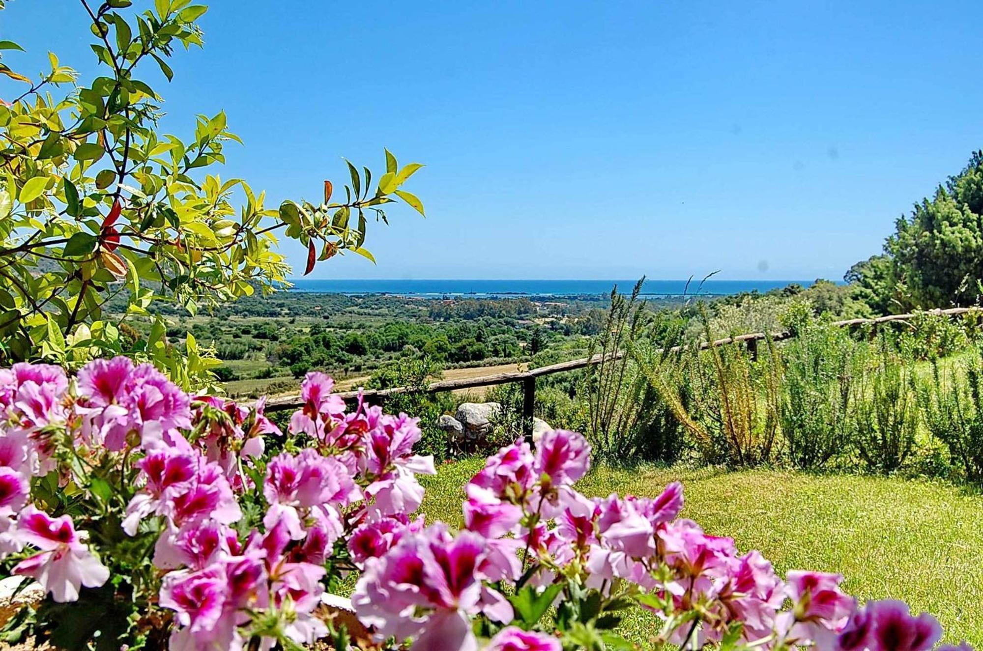 Li Teggi Turismo Rurale San Teodoro  Extérieur photo
